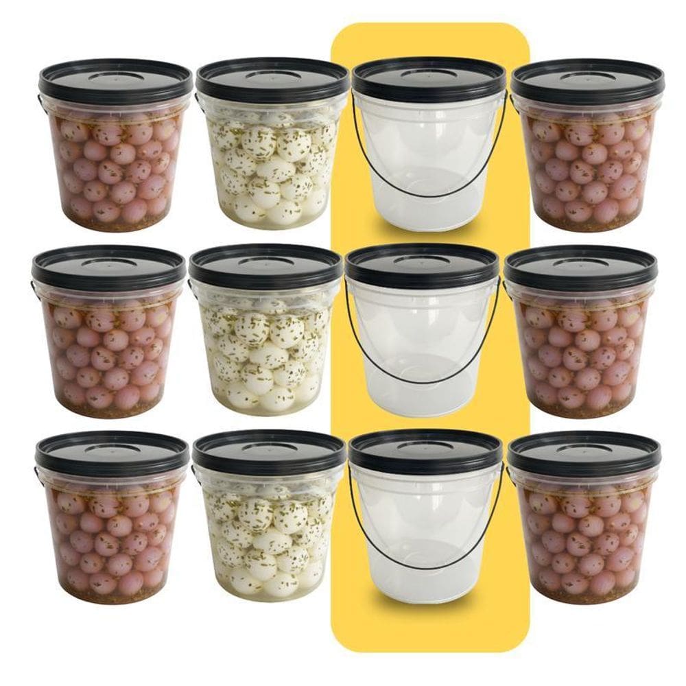 Balde Com Tampa Preta Higiênico E Prático - 12 Pçs