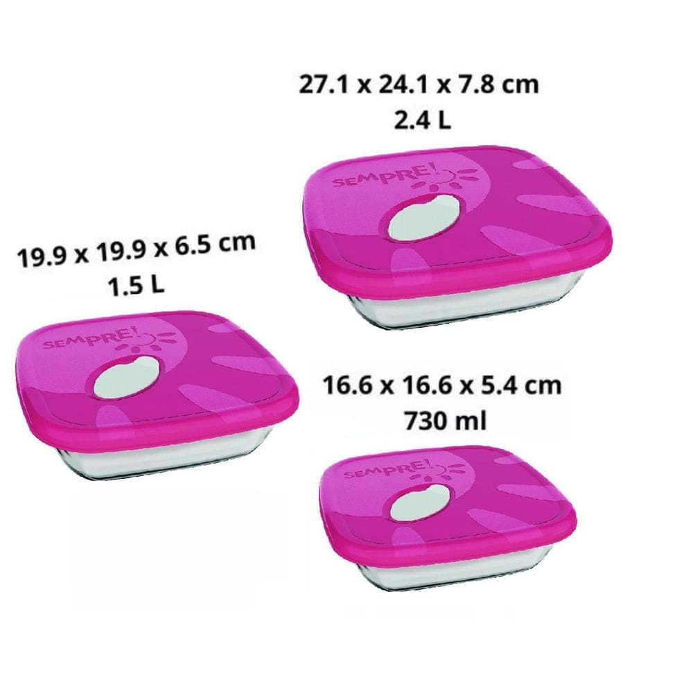 Jogo 3 Assadeirass Plástica Sempre 1513