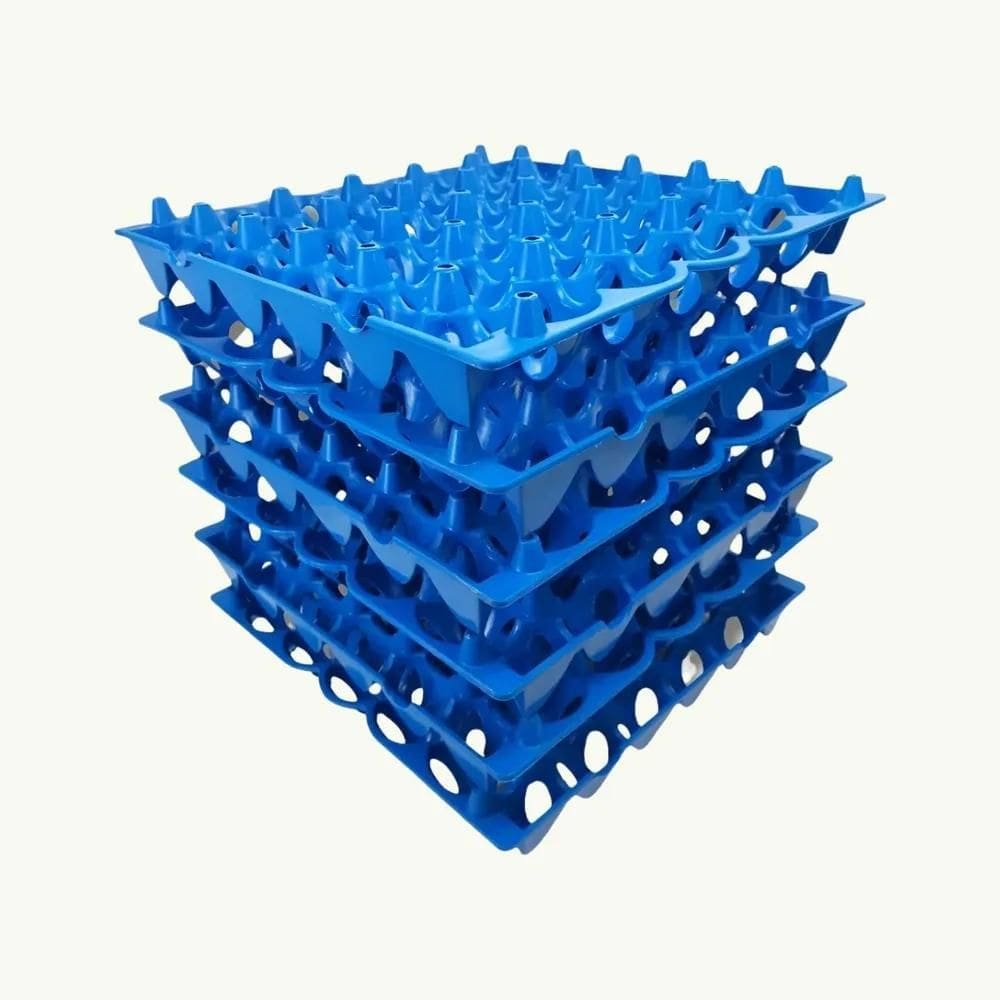 2X Bandeja Plástica Porta Ovo Cartela Higiênica 06 Unid.