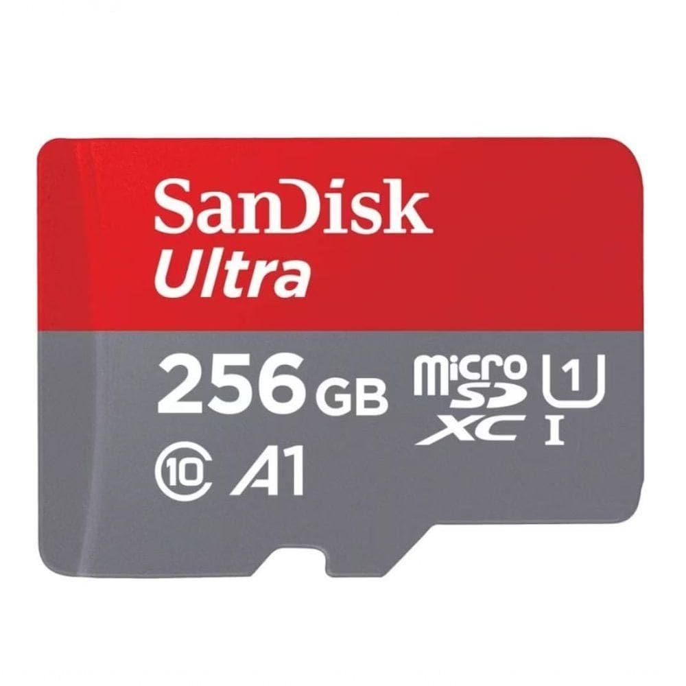 Cartao De Memoria De 256 Gb Sandisk