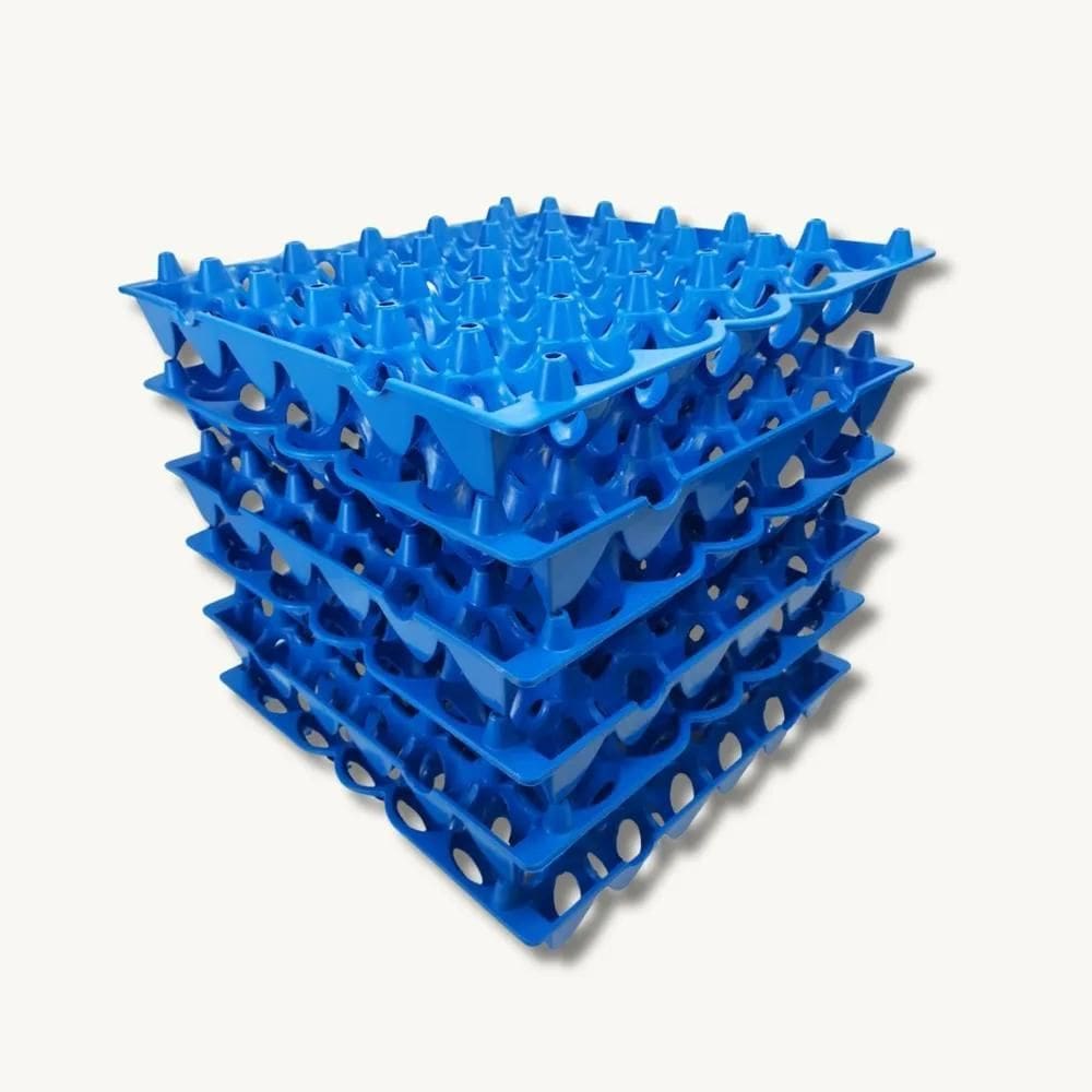 2X Bandeja Plástica Porta Ovo Cartela Higiênica 06 Unid.