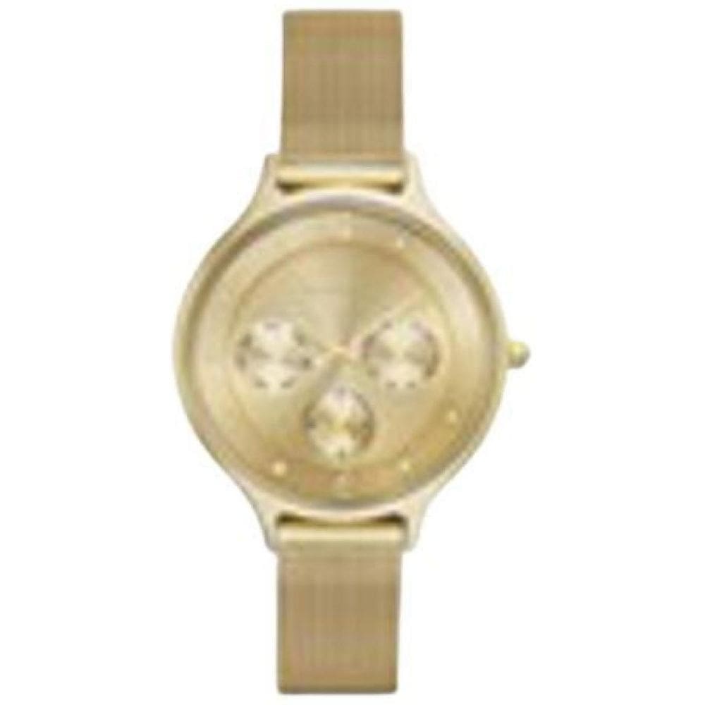 Relógio Skagen Feminino Dourado Skw2313/Z