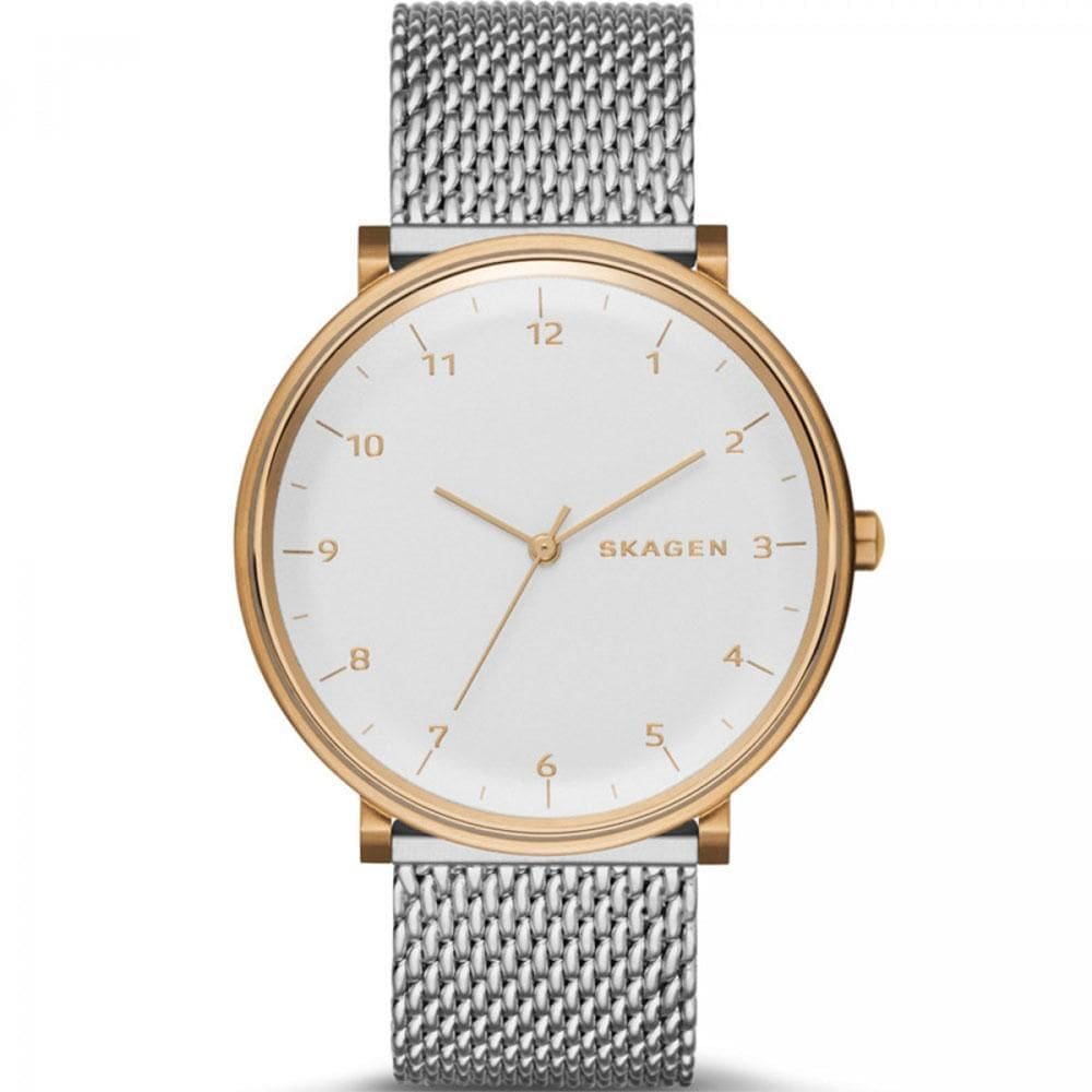 Relógio Skagen Men`s Hald SKW6170/Z em Aço Inoxidável