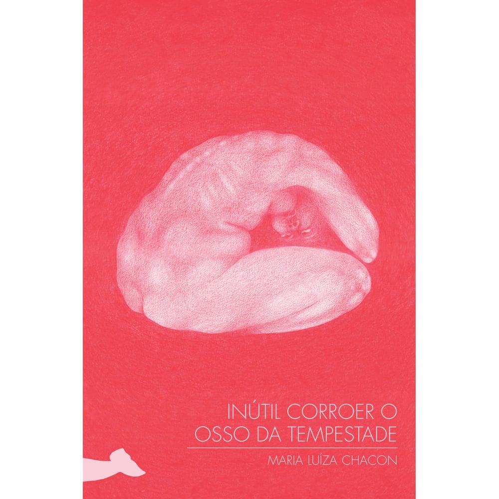 Inútil Corroer o Osso da Tempestade