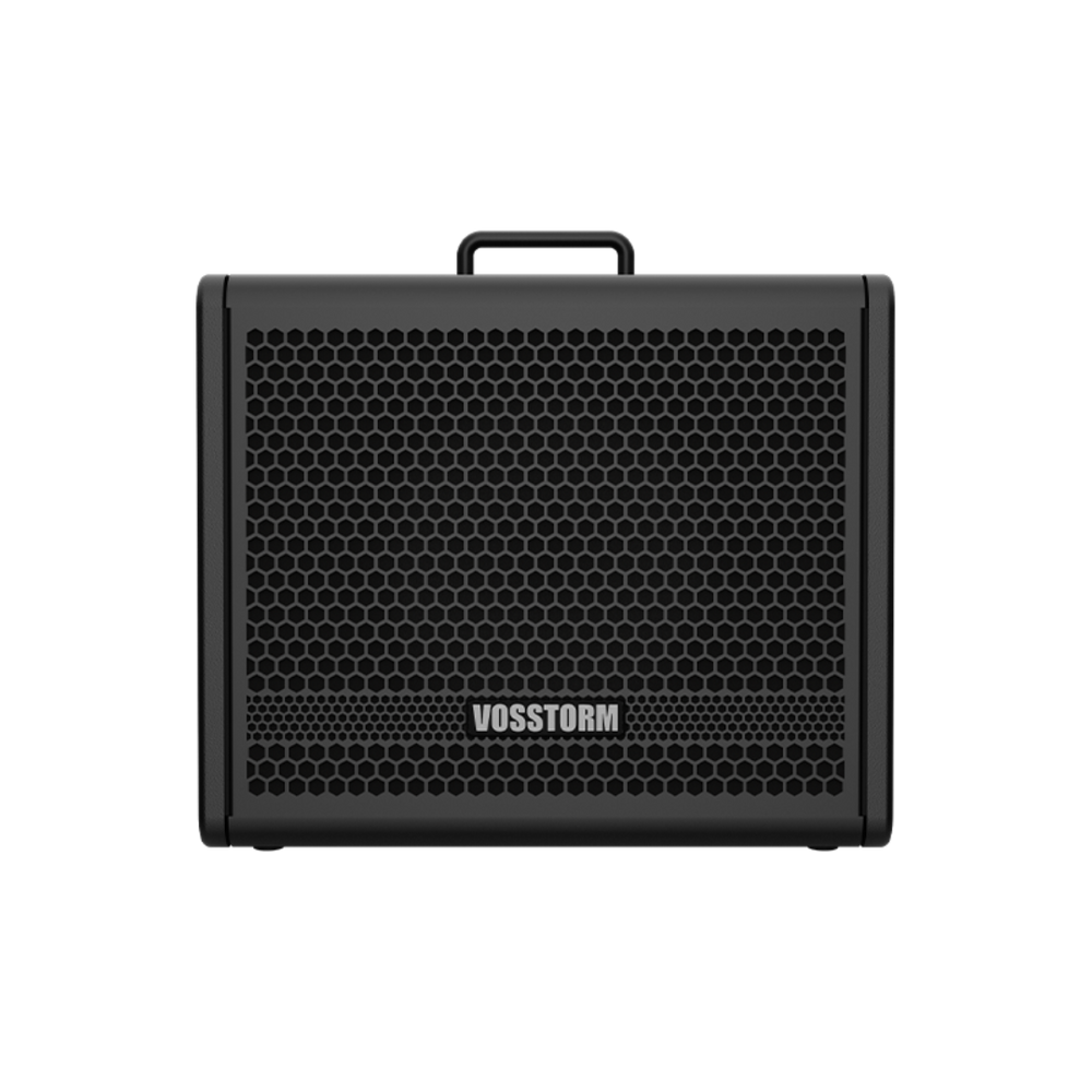 Amplificador Para Guitarra 10 Pol 40w Vosstorm Gx-10