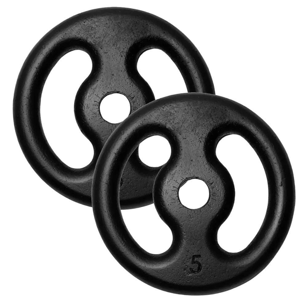 Kit 2 Anilhas 5Kg Fitness Ferro Pintada Academia Treino 10Kg