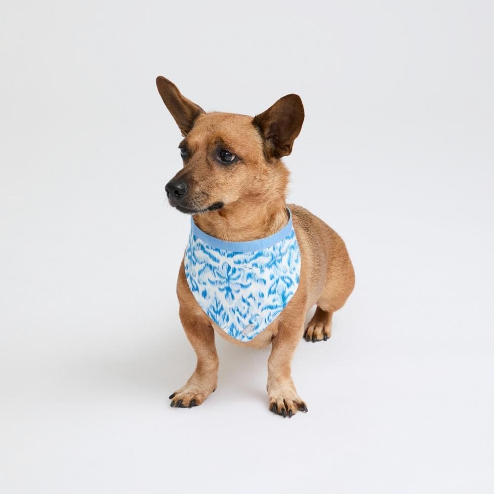 Bandana Ombra D`Ikat - Azul - P