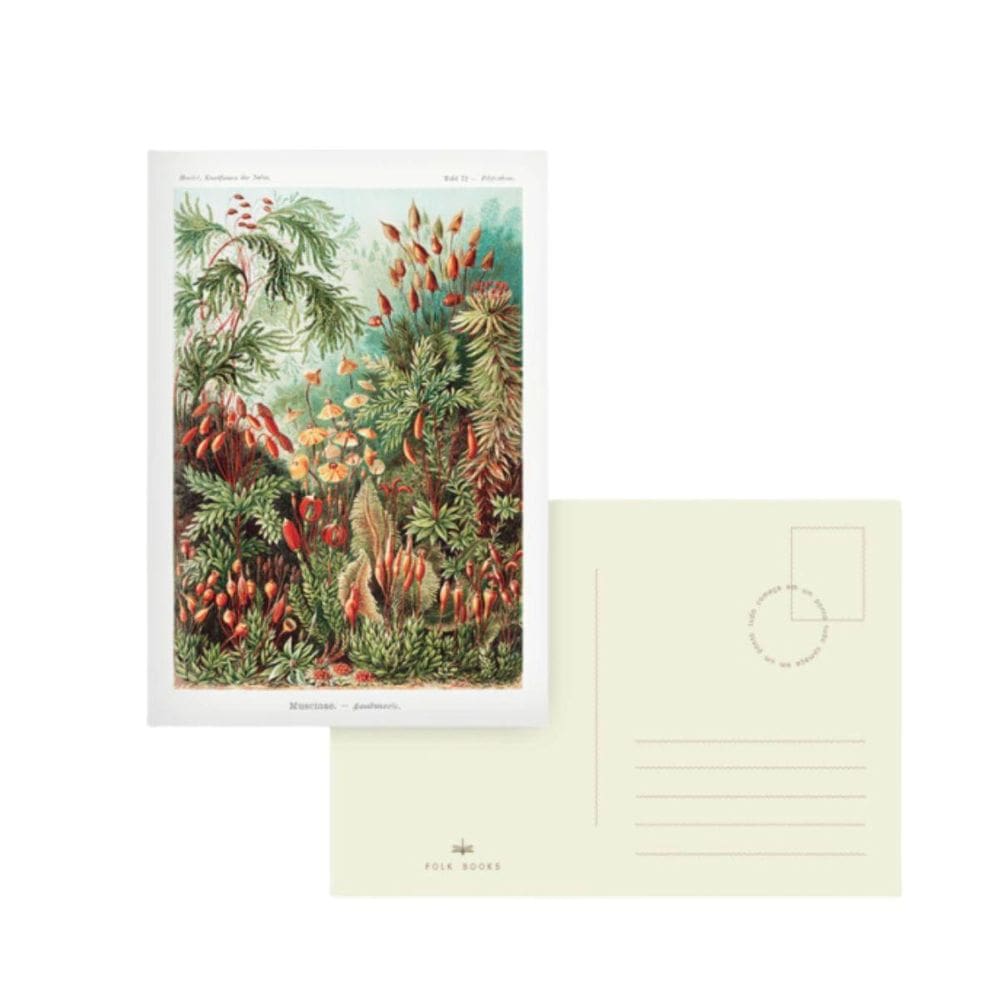 Cartao Postal Folk Books 11,5X16,5Cm - Fundo Do Mar