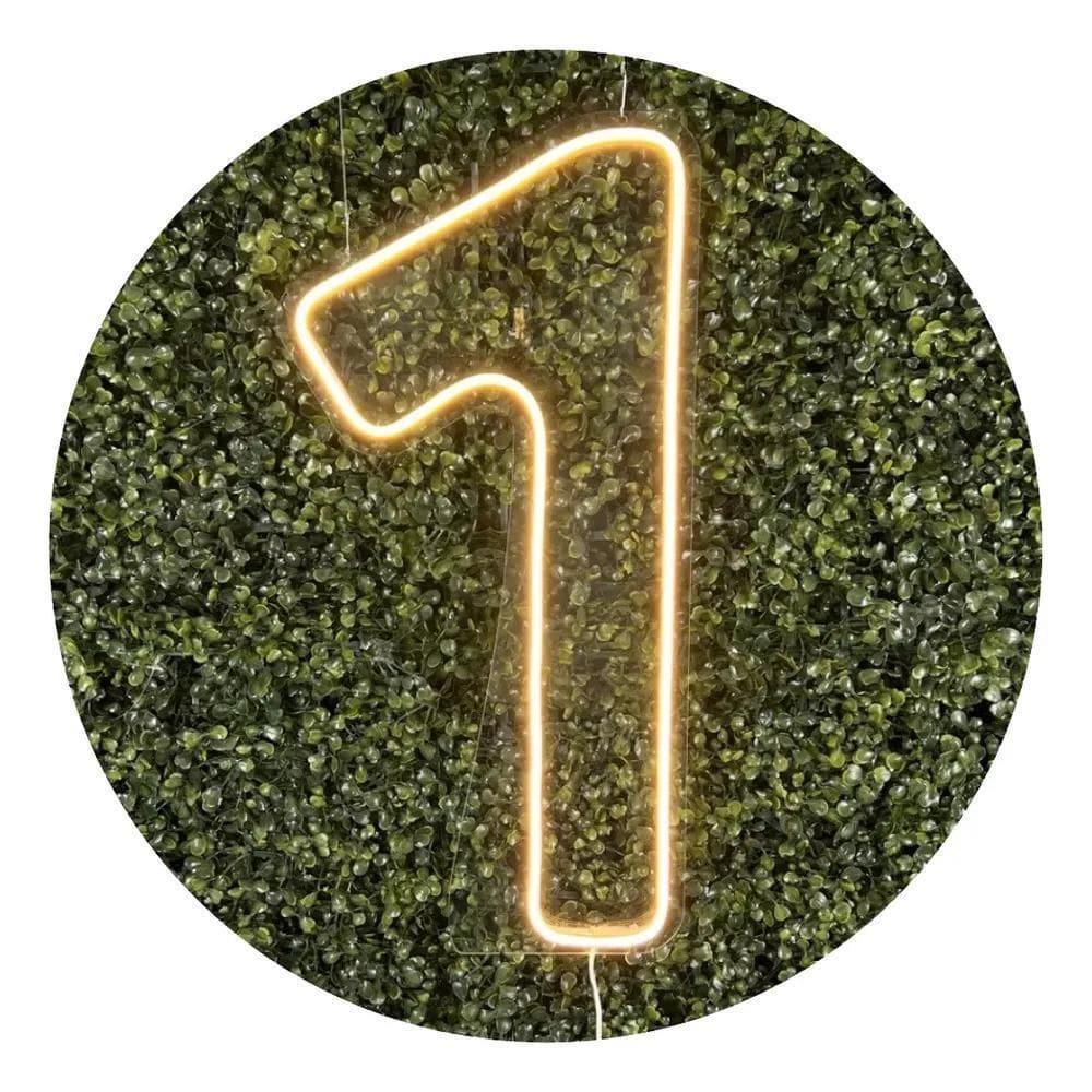 Números De Neon Led 0 A 9 Painel Placa Decoração 9 Branco Fr