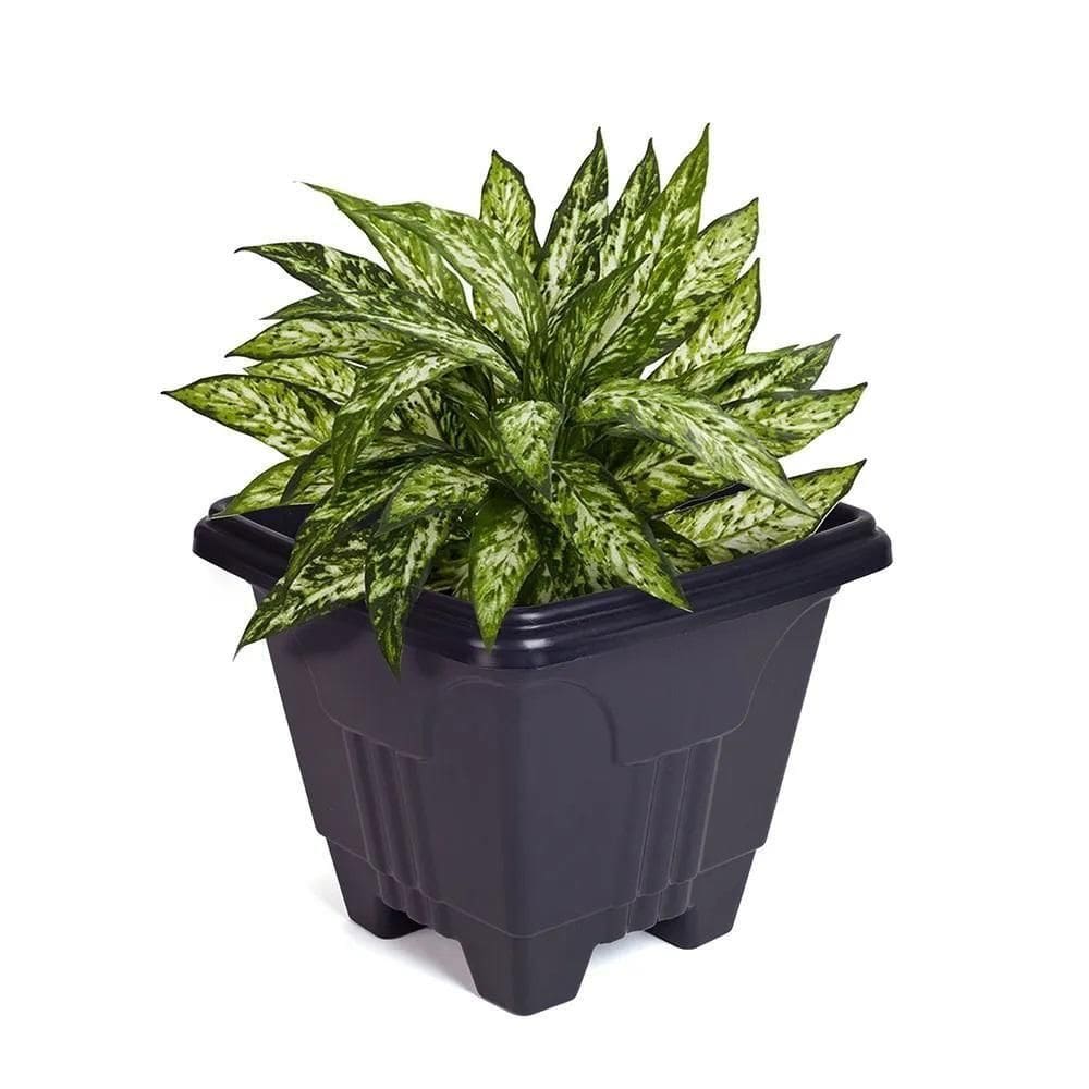 Vaso Quadrado 16,5 L De Plástico Preto Para Plantas E Decoração