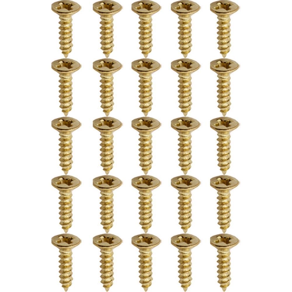 Parafuso Chipboard 6,0X65Mm 25 Unidades  41,0019  - Nord