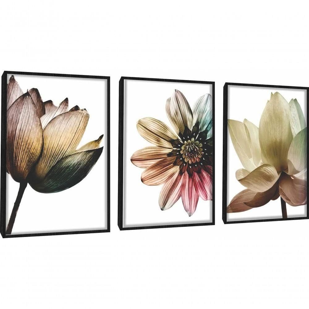 Quadro Decorativo Flores Colorido Com Moldura Preto