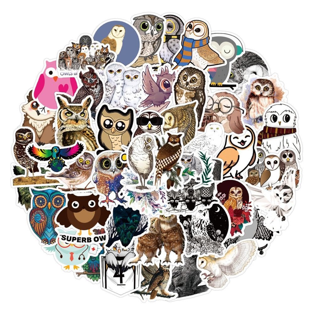 Pacote de adesivos: 100 peças de vinil impermeável Owl para crianças e adultos