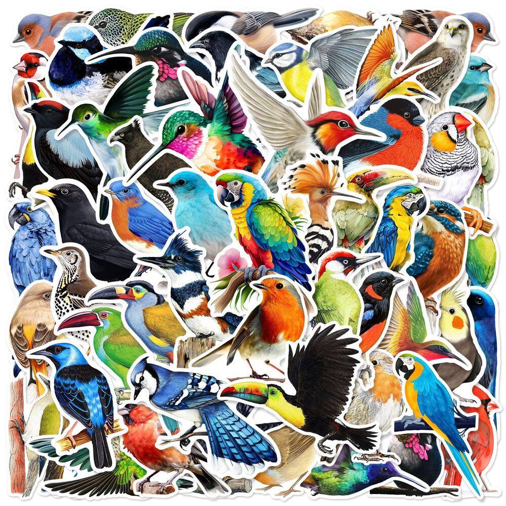 Pacote de adesivos em aquarela Bird, 50 unidades de vinil de animais exóticos