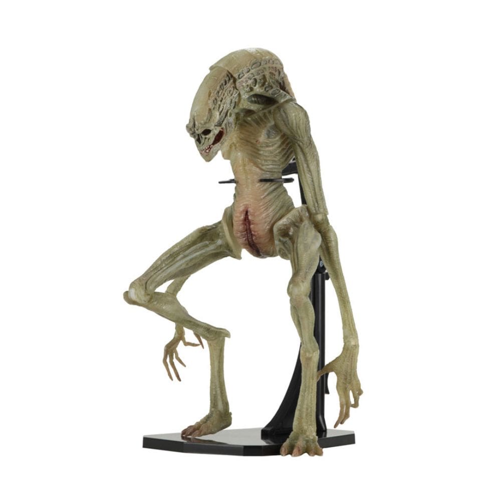 Coleção de brinquedos de figuras de anime Alien Resurrect Model 18 cm