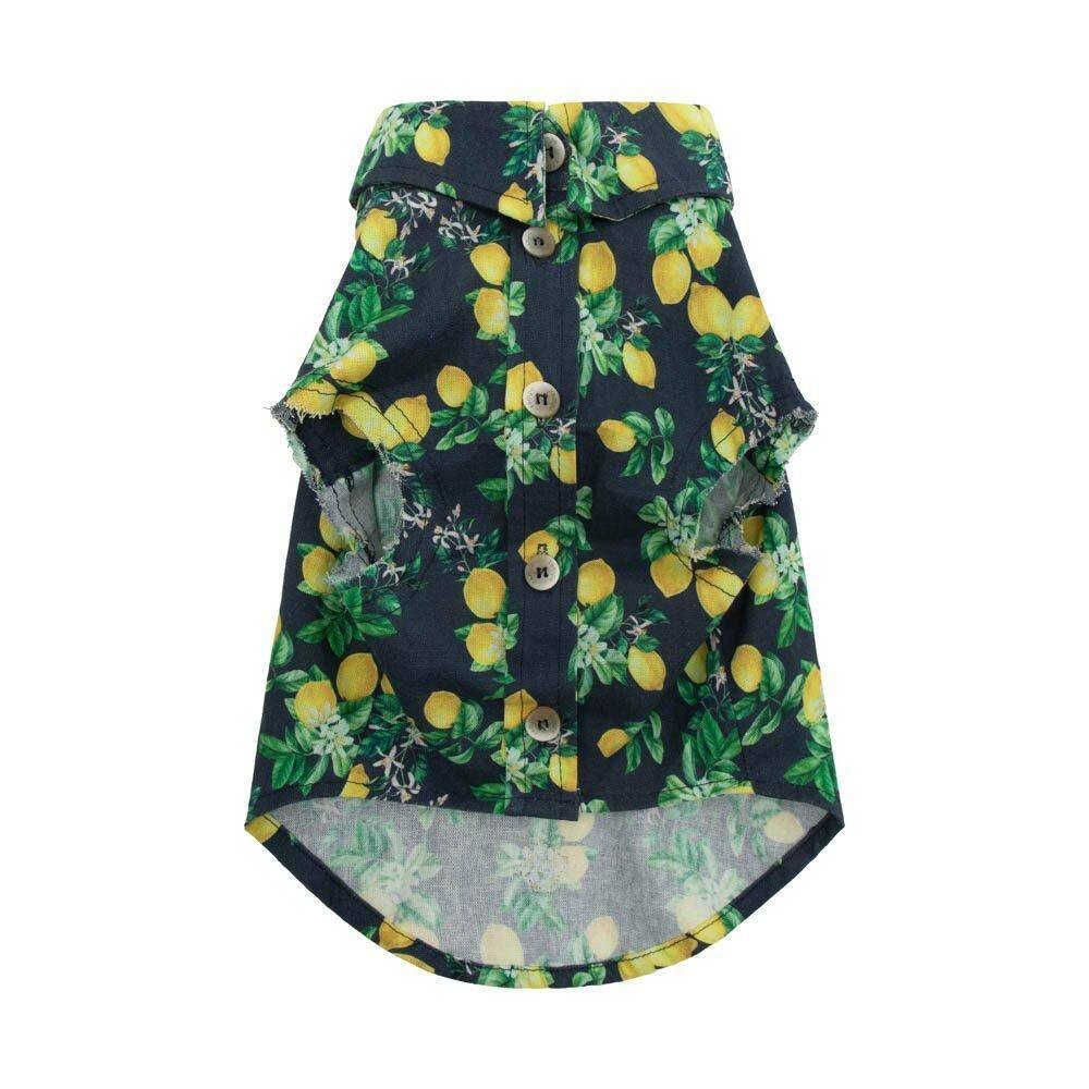 Camisa Limone Pet - Azul - 1Gg