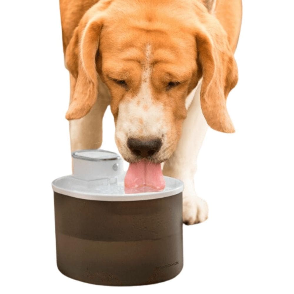 Bebedouro Fonte De Água Automático Pets 3L Com Sensor E Usb