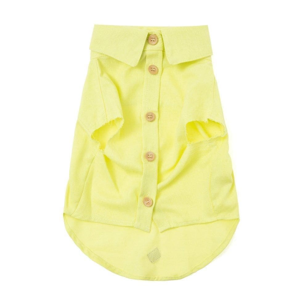 Camisa Guido Pet - Lemon - Xpp