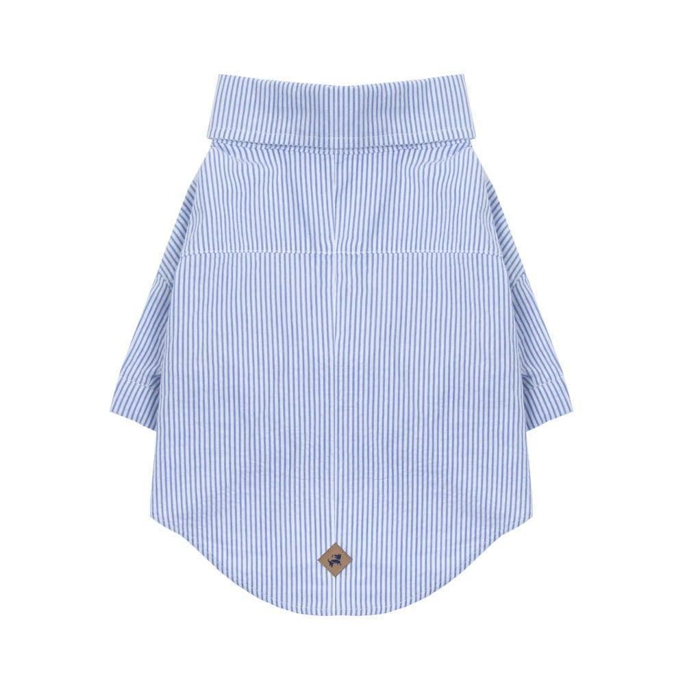 Camisa Turchi Pet - Azul - Xpp