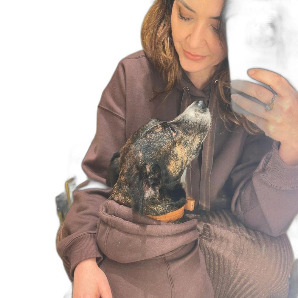 Moletom Basic Felpado Pet - Marrom - 2Gg