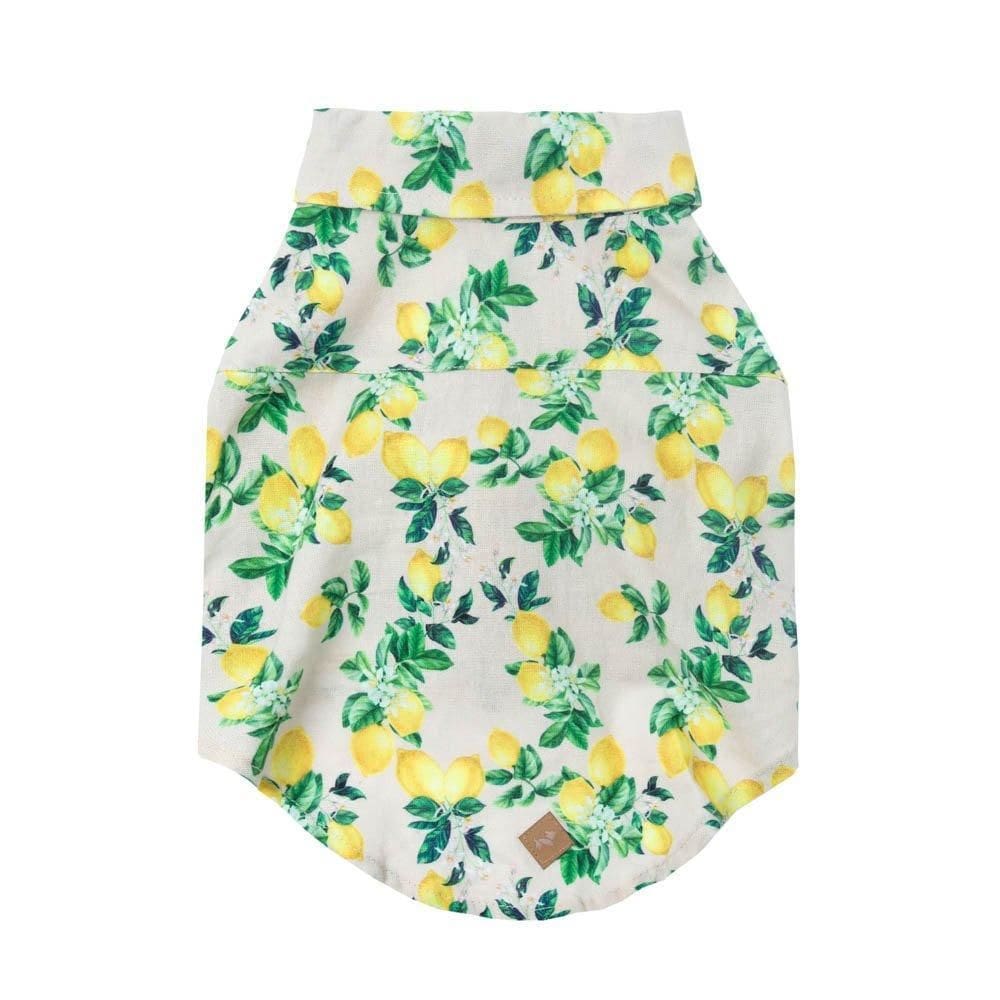 Camisa Limone Pet - Bege - Gg