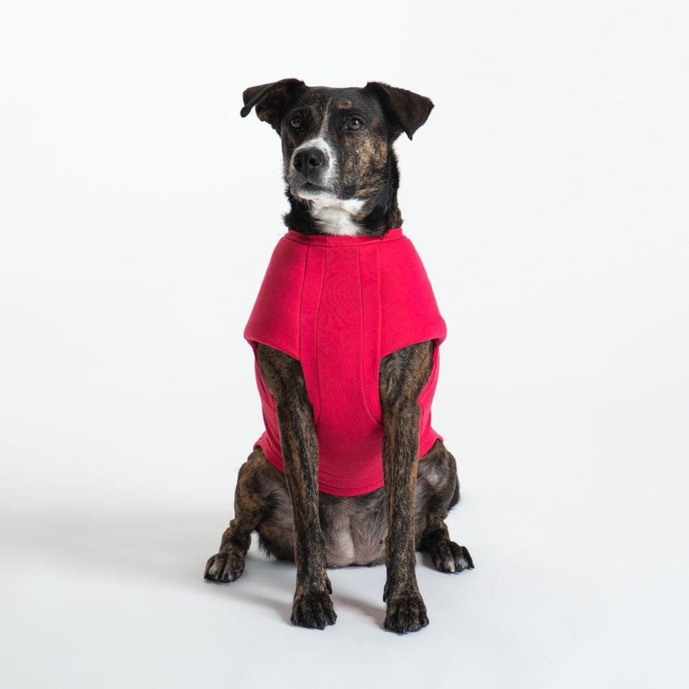 T-Shirt Calabria Pet - Pink - Gg