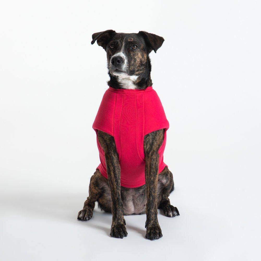 T-Shirt Calabria Pet - Pink - 1Gg