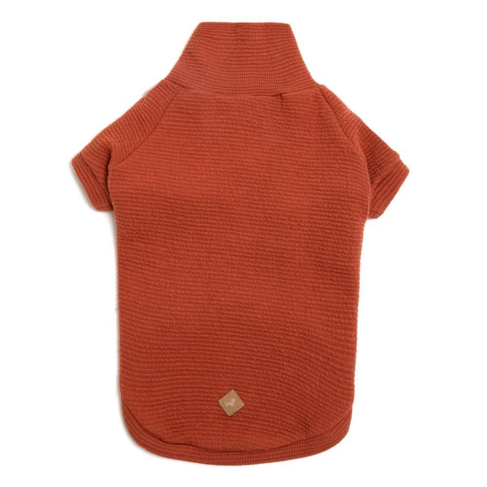 Blusa Pisoni Pet - Laranja - 1Gg