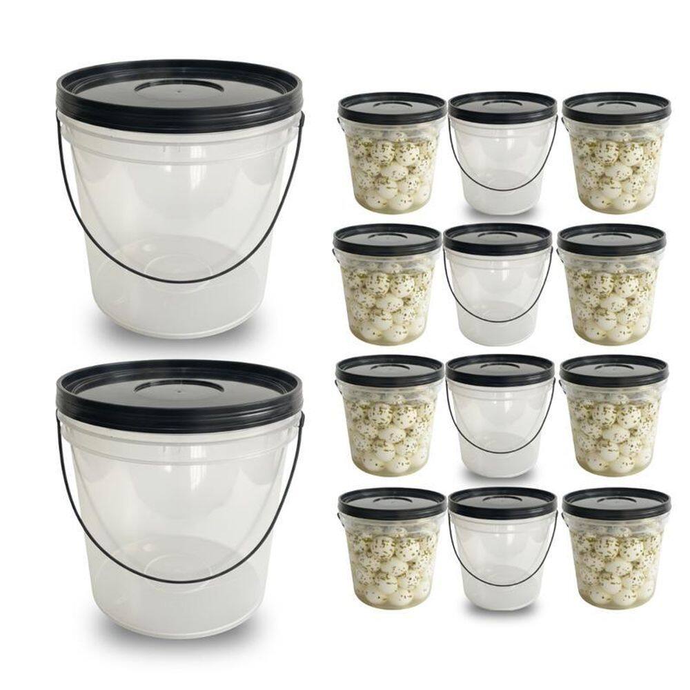 Balde 3.2L Transparente Para Armazenar Ração - 12 Pçs