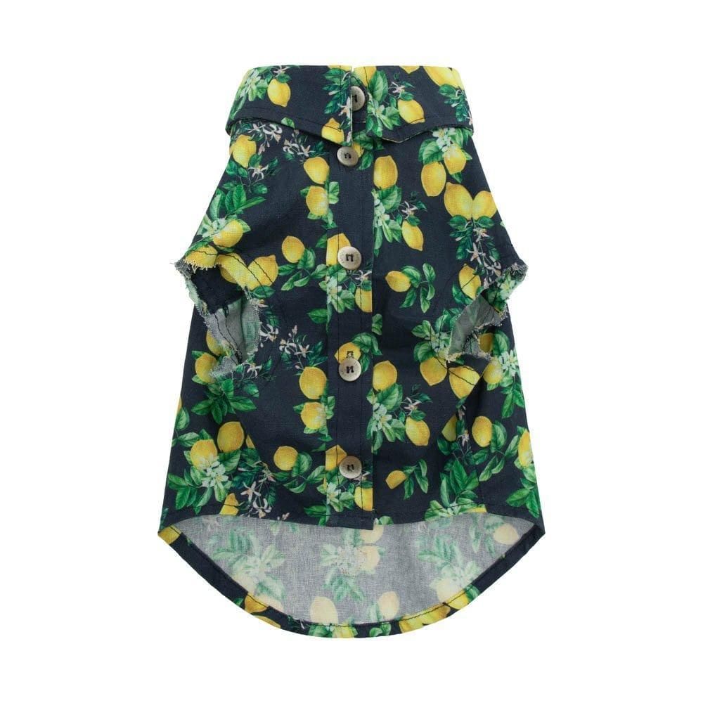 Camisa Limone Pet - Azul - P