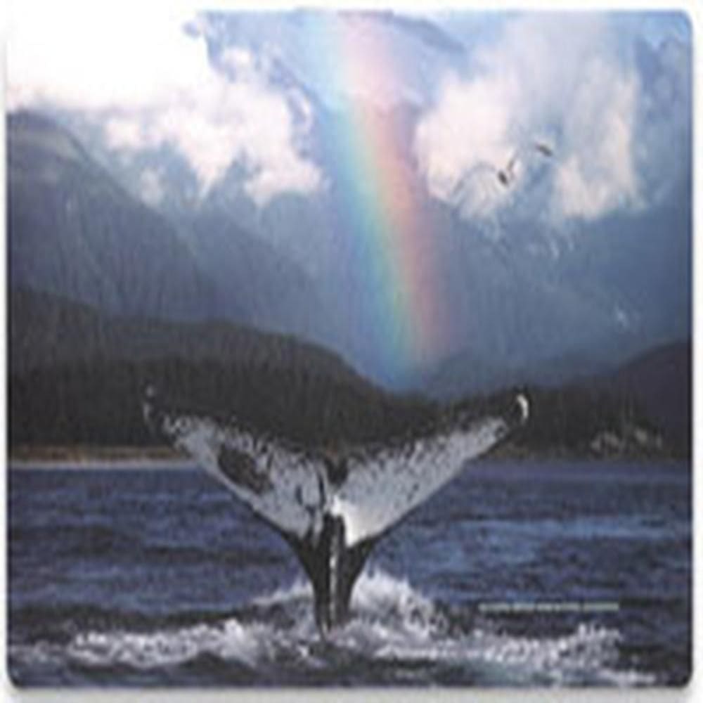 Adesivo Skin Manhattan Mh-423465 Para Notebooks Ate 17...