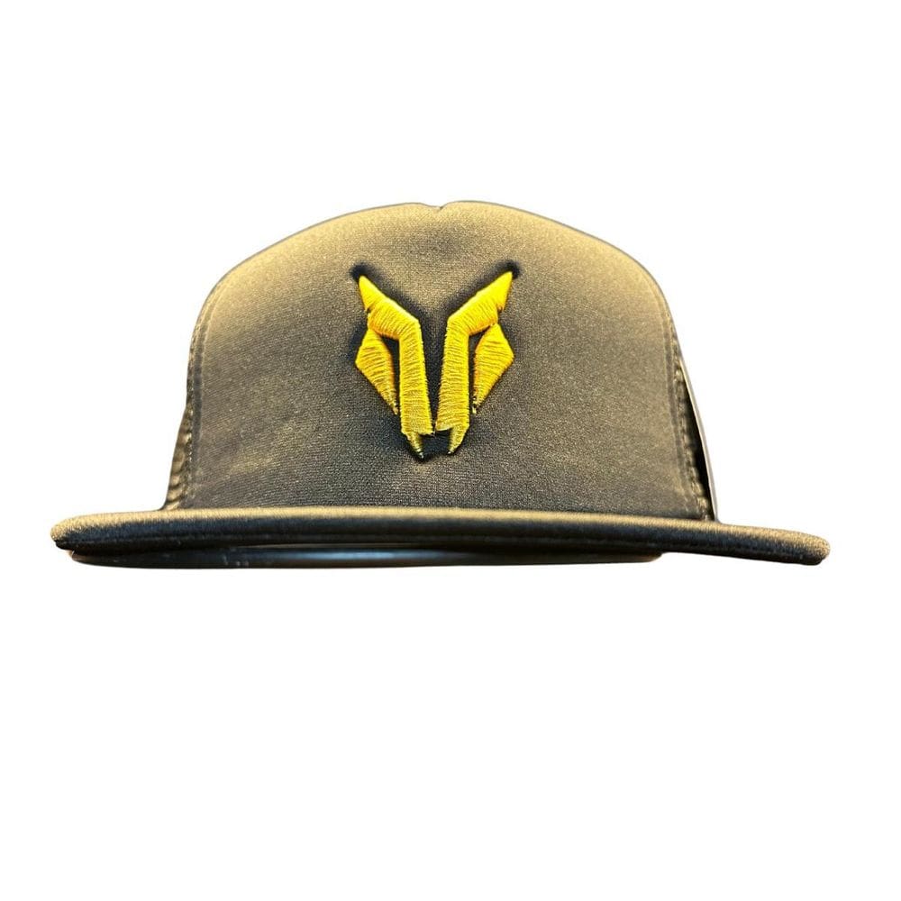 Boné Aba Reta Fitted Preto Quattro Car