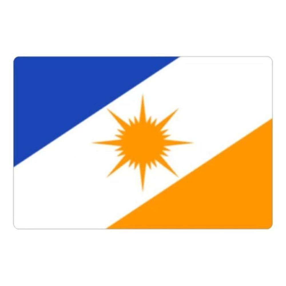 Adesivo Bandeira Tocantins Resinado 4X6Cm Bd44