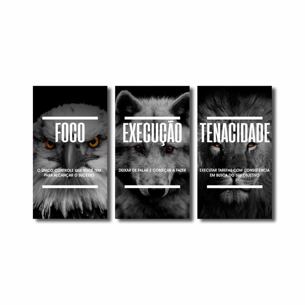 Quadro Decorativo Foco Execução Tenacidade Águia Lobo Leão