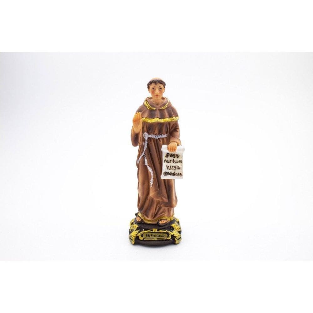 Imagem São Frei Galvão Importado Resina 14 Cm