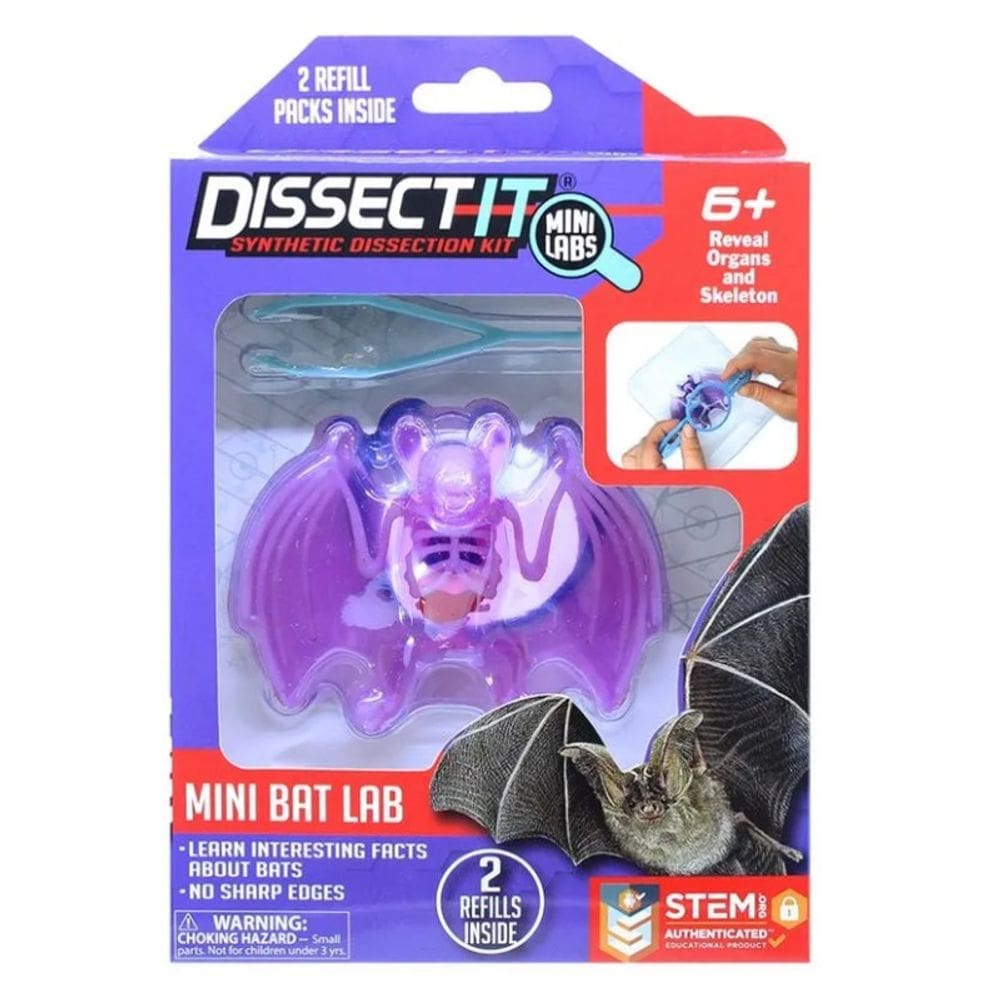 Kit De Dissecação Mini Lab Dissect-it - Candide