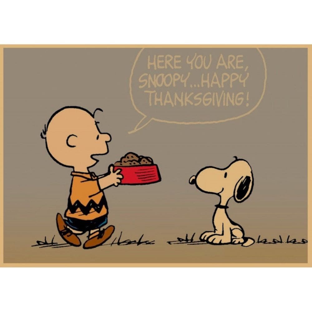 Pôster de arte de parede Picture Snoopys Anime Art 30x42cm Papel