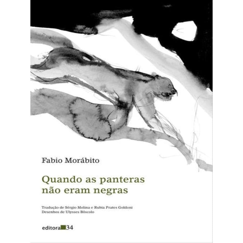 Quando As Panteras Não Eram Negras