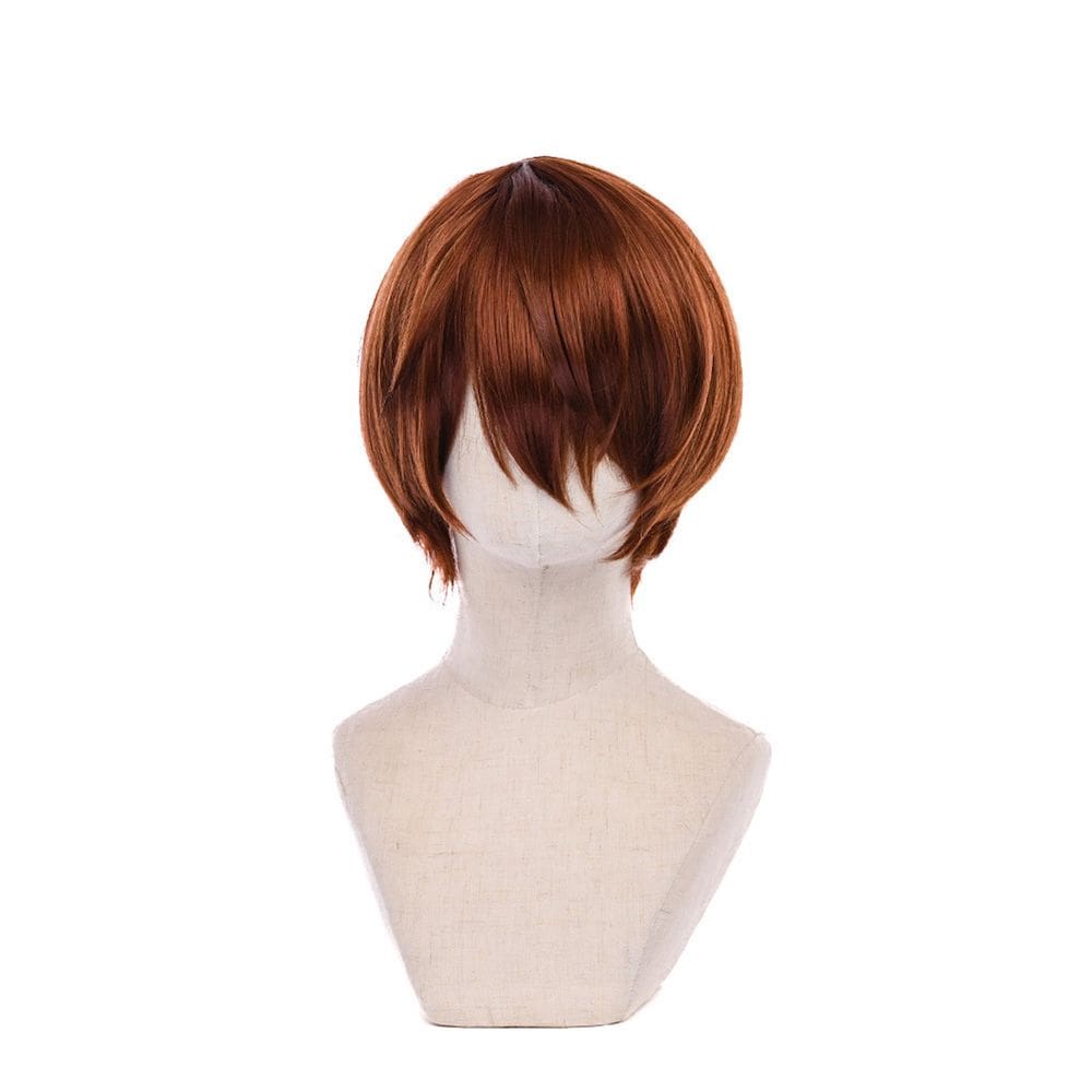 Cosplay Wig Deaths Notes Yagamis Lights Anime Short Hair