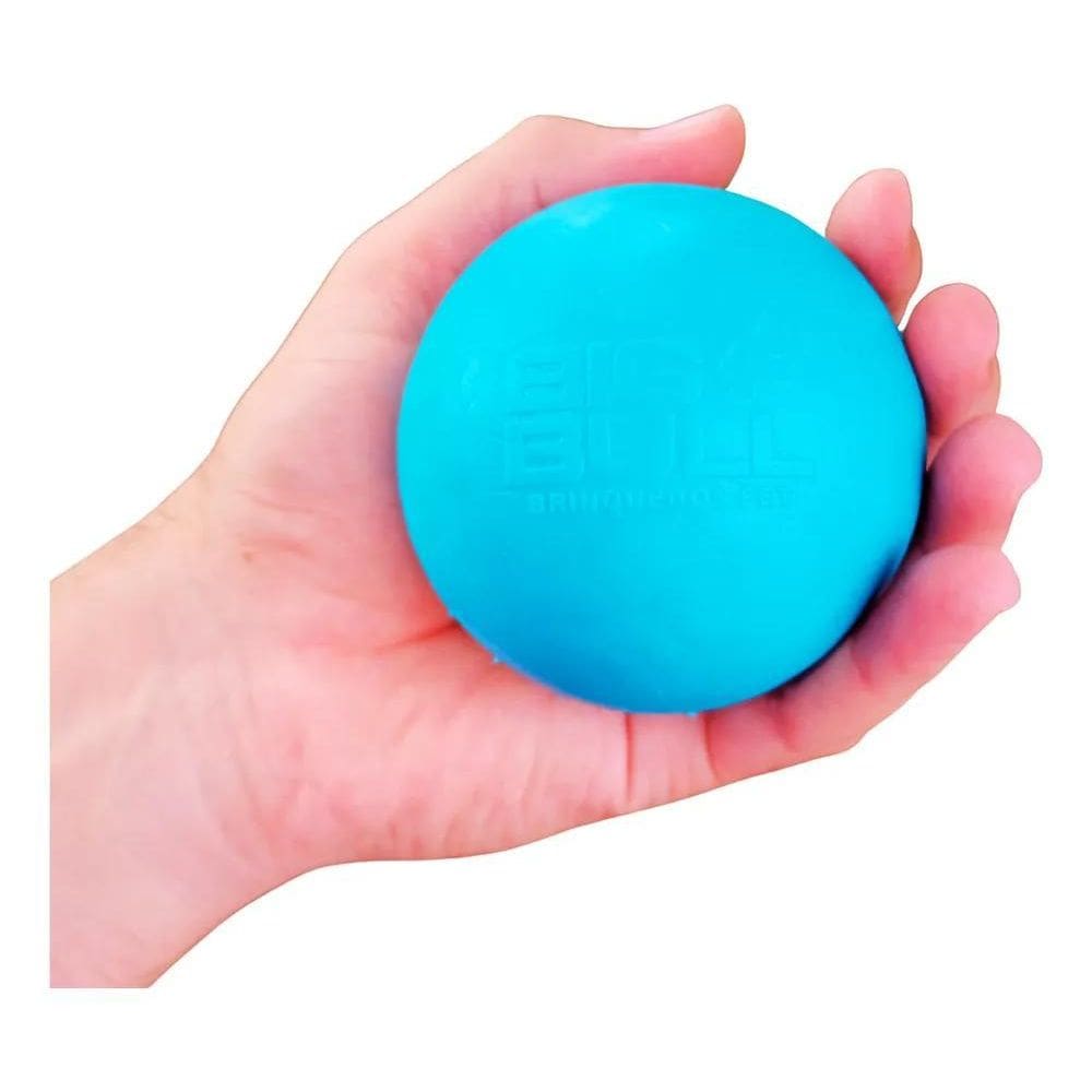 2X Bola Pula Pula Maciça Big Bull Pet Bolinha Pra Cachorro C