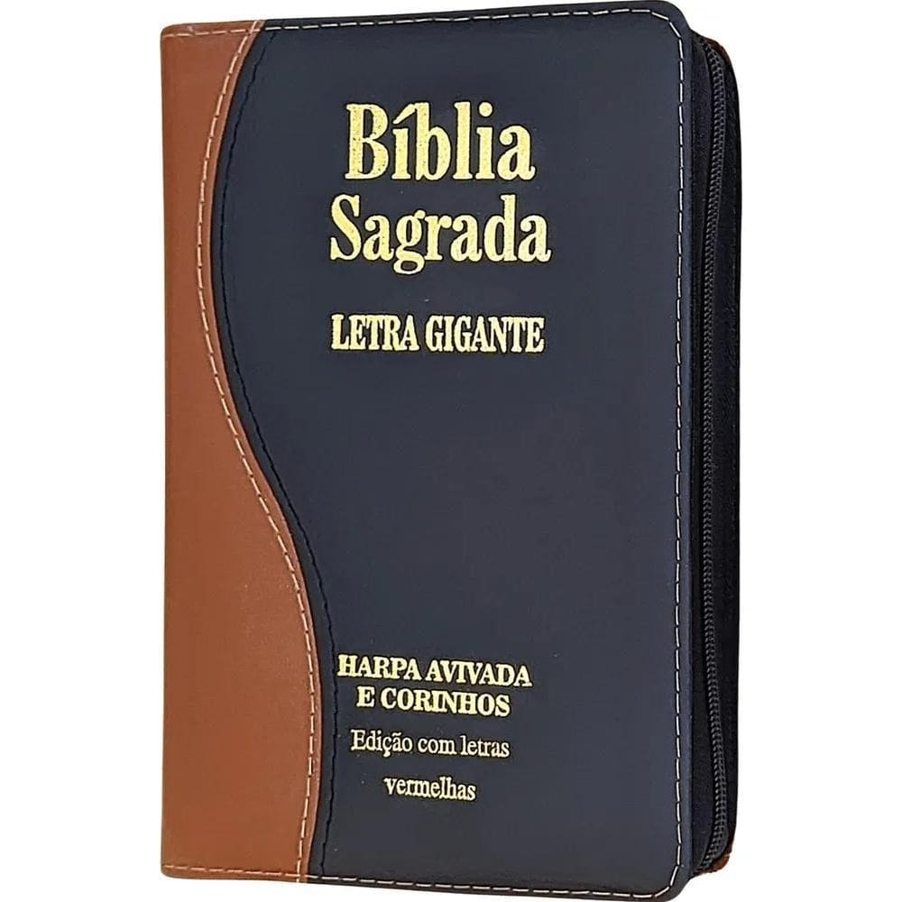 2X Bíblia Sagrada Letra Gigante Com Harpa Masculina / Femini
