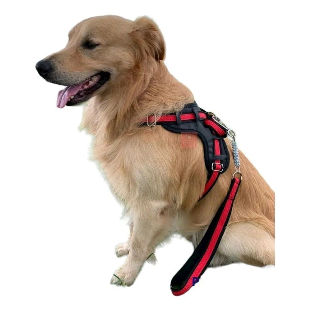 2X Peitoral Guia Cão Coleira Anti Puxão Golden Pitbull Verme