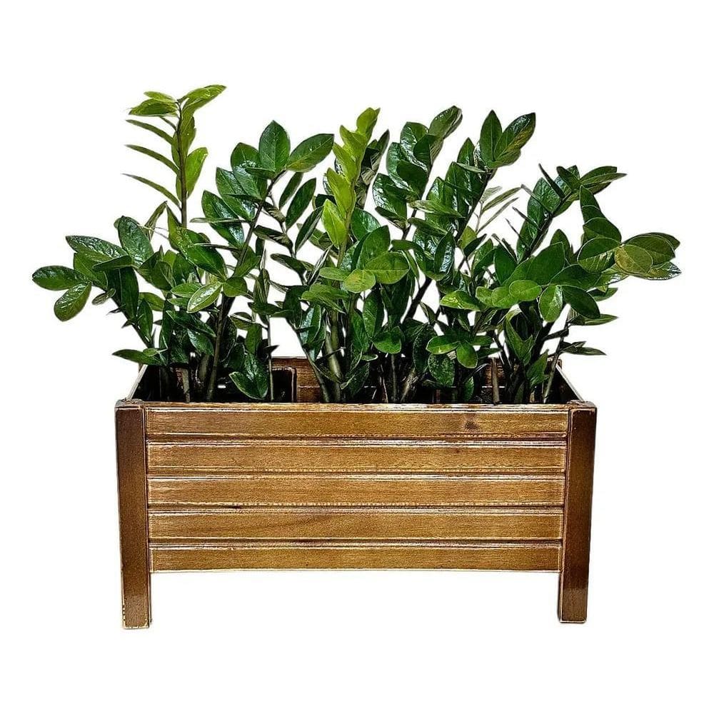 2X Jardineira Vaso Planta Madeira Ripada 50X21Cm Alpe & Arit