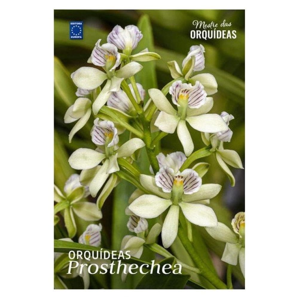 Orquídeas Prosthechea - Mestre Das Orquídeas - Volume 30