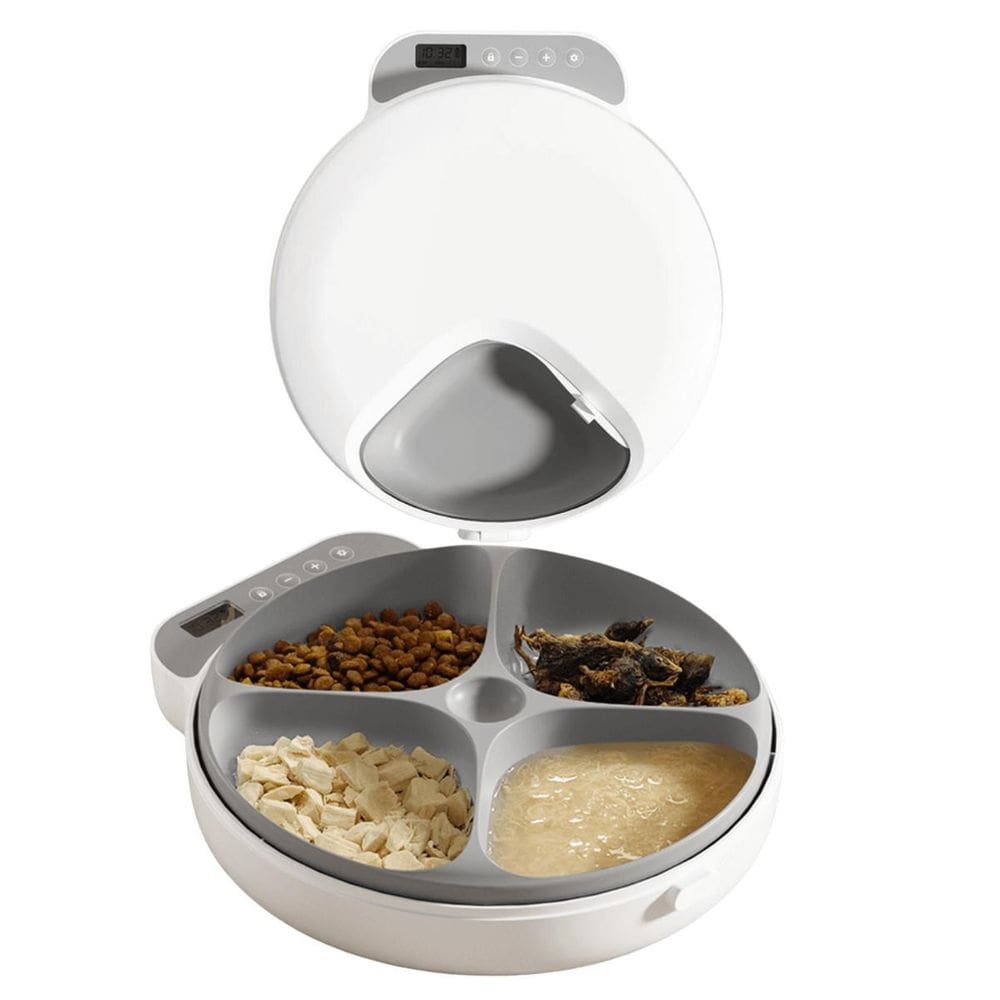 Comedouro Automático Gato Cachorro Programável Ração Pet