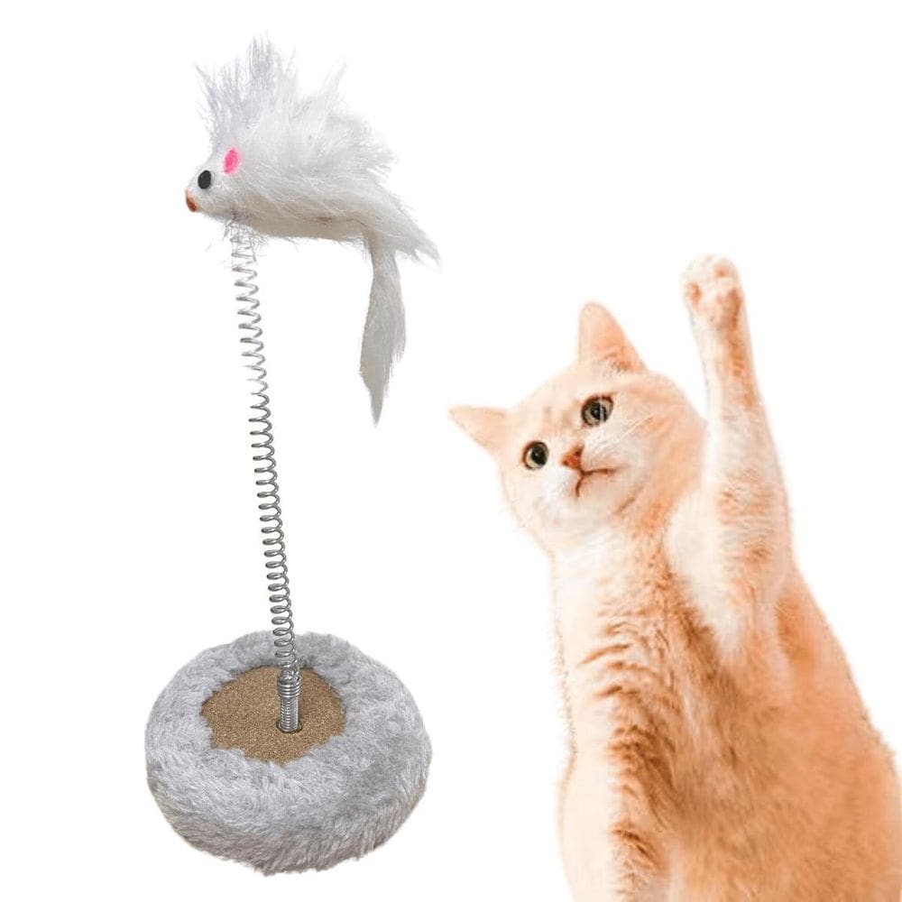 Brinquedo Gato Mola Maluca Chocalho Brinquedo Gatos