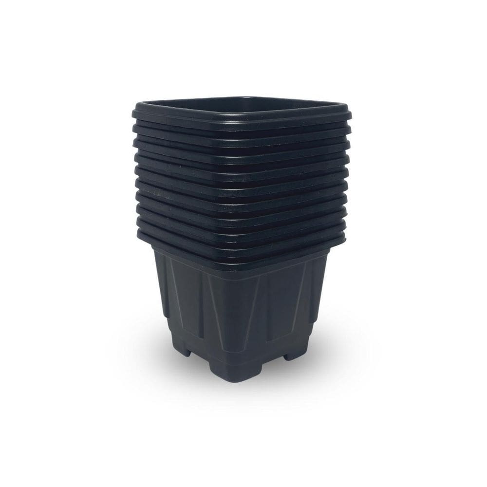 Vaso Decorativo Mini Vaso Para Mudas Flor Suculentas Cactos