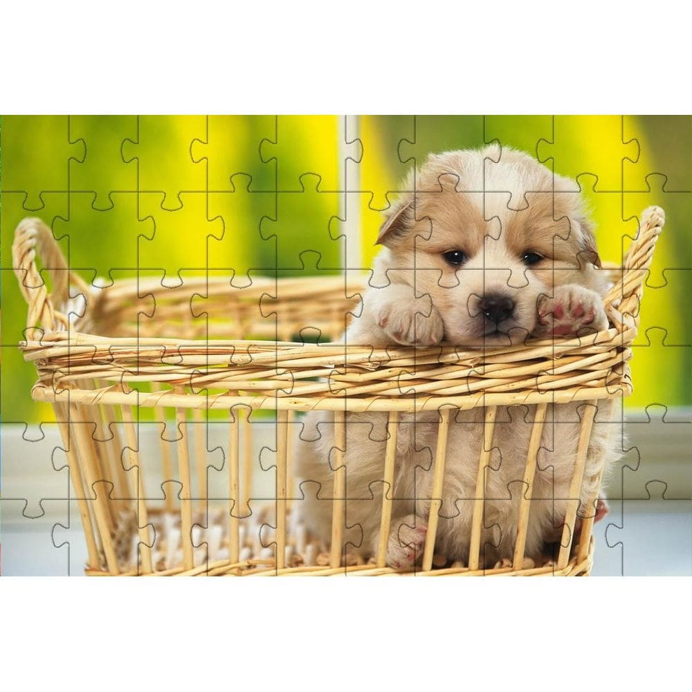 Kit 2 Quebra-Cabeça Inclusivos Beleza Dos Cachorrros Em 24