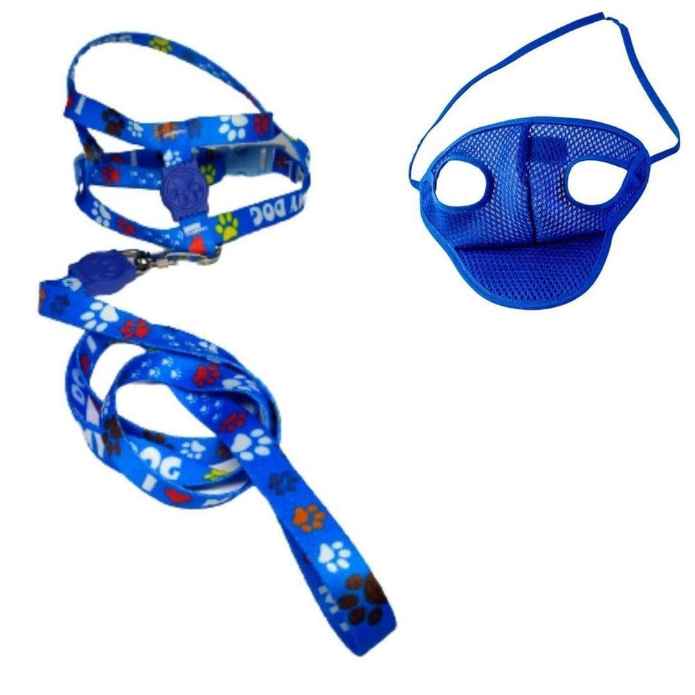 Kit Boné E Coleira Peitoral Para Cães E Gatos Nº4 - Azul