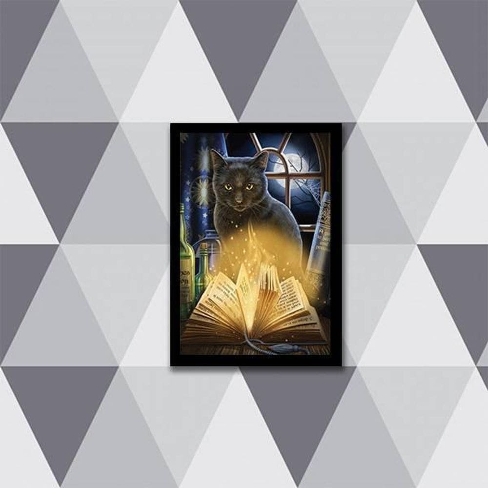 Quadro Gato Bruxo Com Livro 24X18Cm
